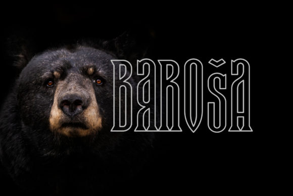 Baroša: A 3D Display Font for Business Impact
