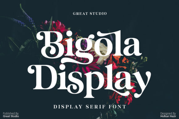 Bigola Font: A Bold Display Typeface for Marketers
